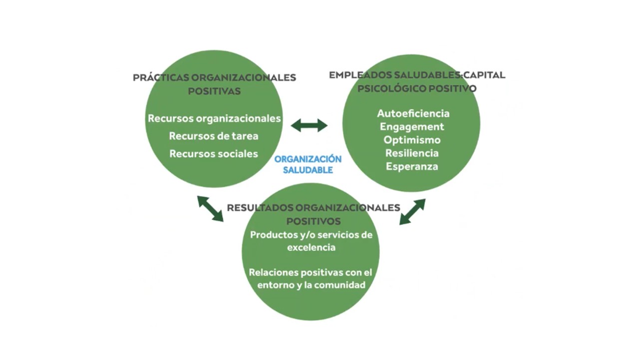 Organizaciones Positivas ¿cómo Mantenernos Positivos En El Contexto Actual 5847