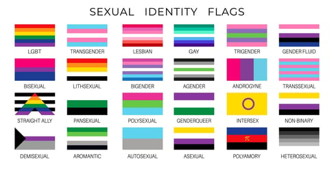 Diferentes Banderas Pride